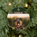 Search for breed christmas tree decorations Animals