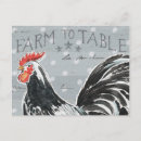 Search for bird words postcards Animals