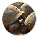 Search for turtle knobs and pulls Nature