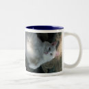 Search for surprised cat mugs Kitty