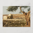 Search for tombs Judaism
