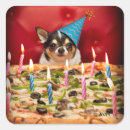 Search for happy pizza stickers Dog