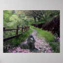 Search for standard poodle art Puppy