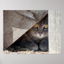 Search for hiding posters Grey