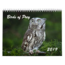 Search for owls calendars Raptors
