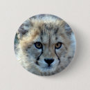 Search for cheetahs badges Nature