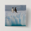 Search for antarctic badges Polar