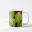 Search for bud mugs Nature