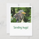 Search for beak postcards Nature