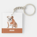 Search for bulldog key rings Illustration