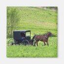 Search for amish magnets Ohio