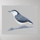 Search for nuthatch posters White