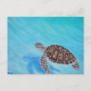 Search for turtle painting postcards Sea