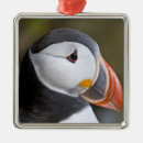 Search for puffin christmas tree decorations Animal