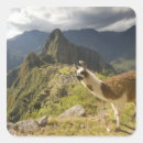 Search for andes stickers Ruin
