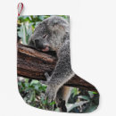 Search for koala christmas stockings Bear