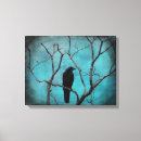 Search for avian Turquoise