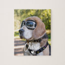 Search for pet photo puzzles Typography
