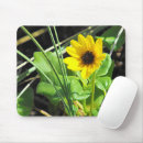 Search for beach grass mousepads Nature