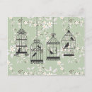 Search for birdcage postcards Flowers