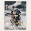 Search for water office supplies Puppy