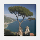 Search for rugged magnets Campania