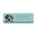 Search for german shorthaired pointer return address labels Dog