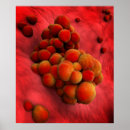 Search for pathogen posters Spherical