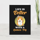 Search for guinea pig cards Rodent