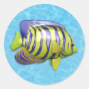 Search for angelfish stickers Tropical