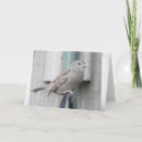 Search for perch cards Sparrow