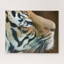 Search for tiger face puzzles Nature