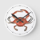 Search for crab clocks Coastal