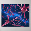 Search for topics posters Healthcare and medicine