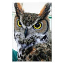 Search for owl portrait posters Great horned owl