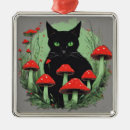 Search for black forest christmas tree decorations Nature