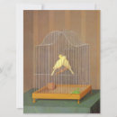 Search for cage cards Parakeet