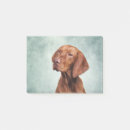 Search for pedigree cards invites Dog