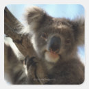 Search for australia day stickers Koala