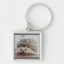 Search for hedgehog key rings Porcupine