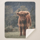 Search for cow blankets Highland cattle