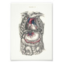 Search for anatomy kodak posters Anatomical
