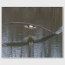 Search for eagle wrapping paper Wildlife