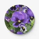 Search for pansy plates Purple