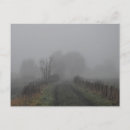 Search for fog postcards Tree