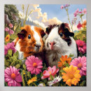 Search for pig gifts Guinea pigs
