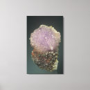 Search for crystal canvas prints Geology