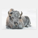 Search for buffalo animal stickers Wildlife