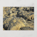 Search for textural postcards For him