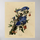 Search for john jay posters Bird